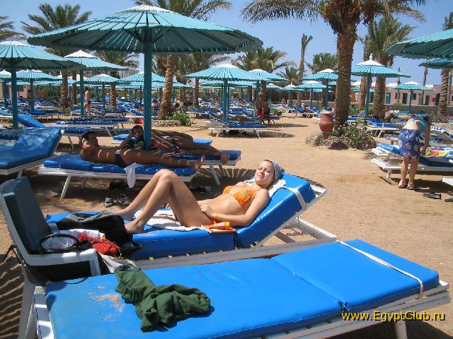 ������ ���� - ��� ���...