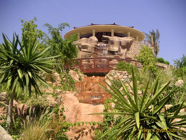 Renessance ������� � ������