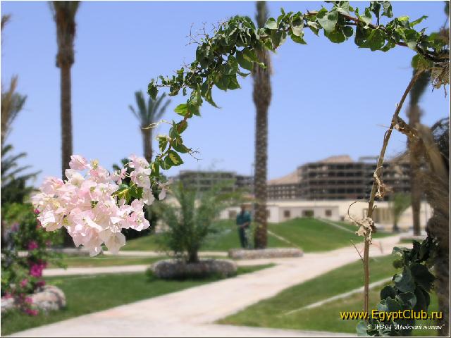 �������� �����