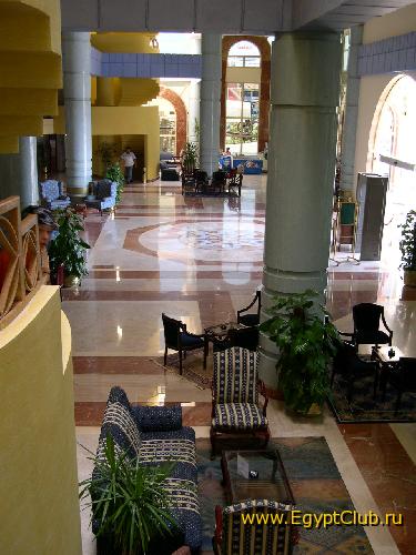 Sea Gull ����