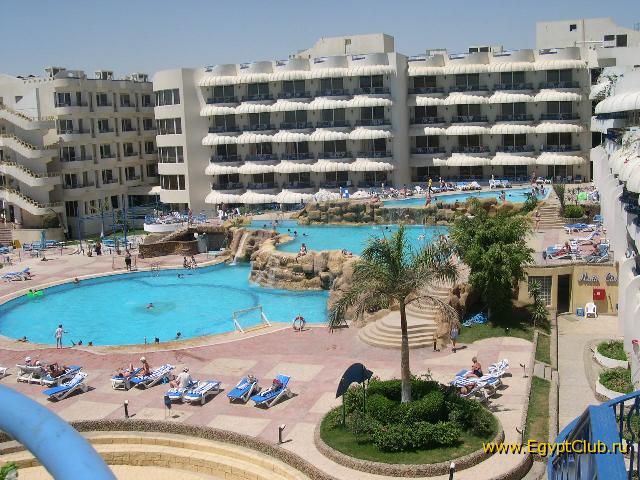 Sea Gull ��������