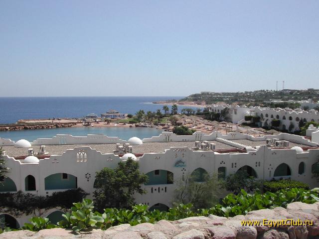 Domina Coral Bay ������� �����