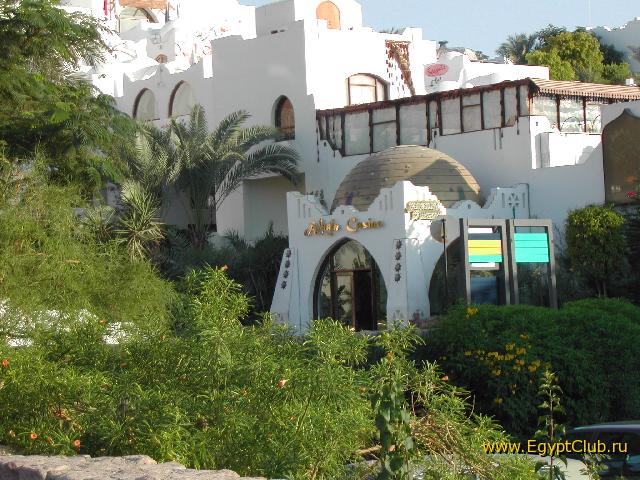 Domina Coral Bay ������ �������