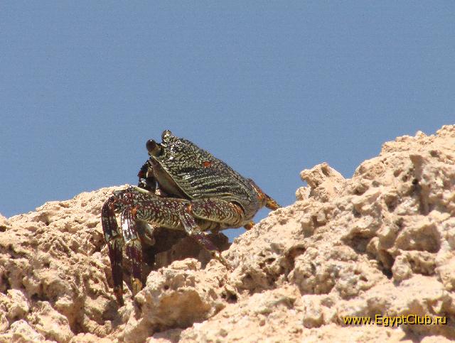 ����� � �-�