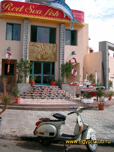 �������� � ������ ����-�