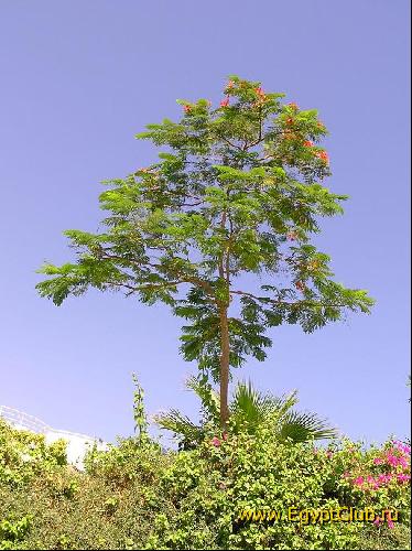 ���������� ������