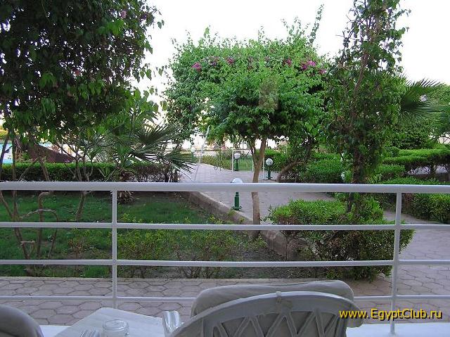 ��� � �������