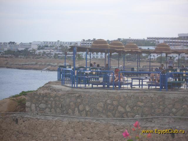 ������-��� ��� �����