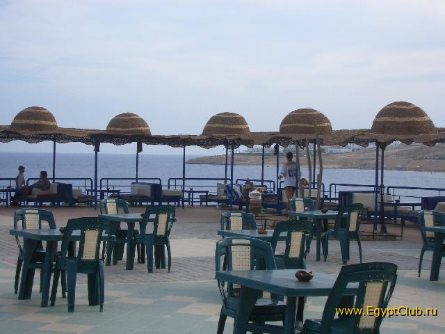 ������ ��� �������