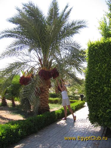 ����� �� �����������