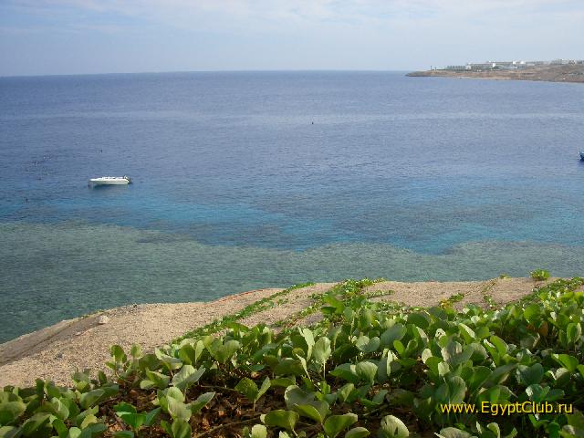 ��� �� ����