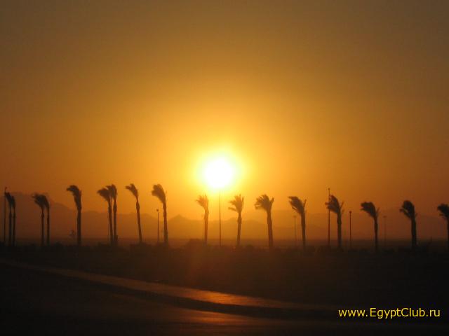 �����.  �������.