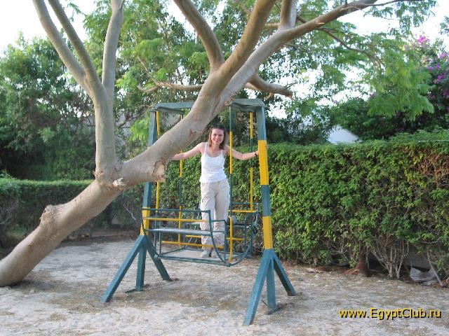 ������ � �����?