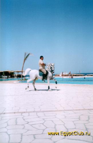 ������������� ����