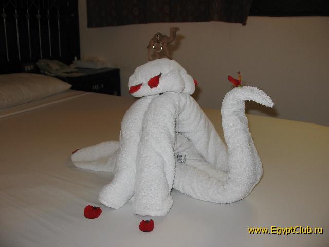 ����� �� ������ �����.