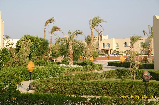 Desert Rose - ��� ����� ;)