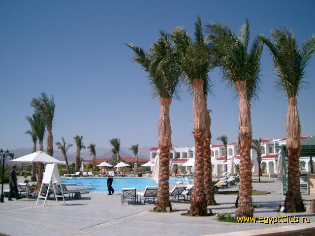 ����� Coral Beach Tiran