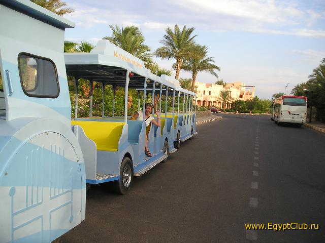 ������ �����