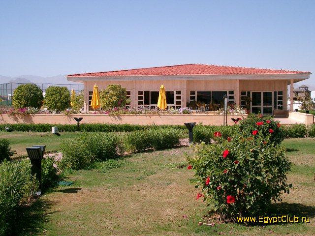 ����� Coral Beach Tiran. ����-���-����