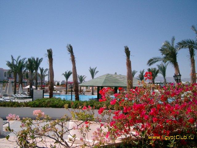 ����� Coral Beach Tiran