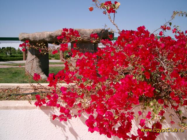 ����� � �����