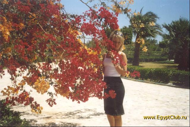 �������������� ��������!