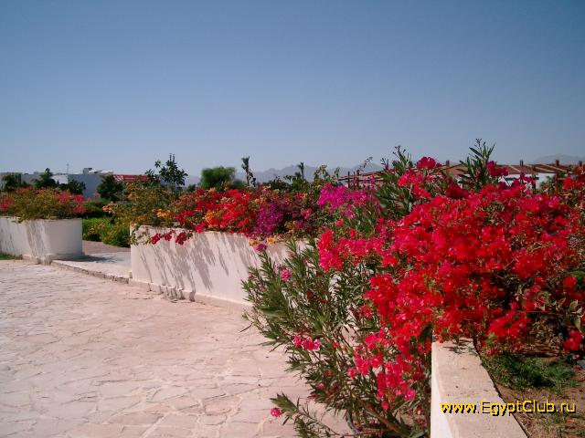 ����� � �����