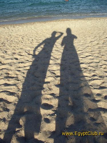 ���� �� �����