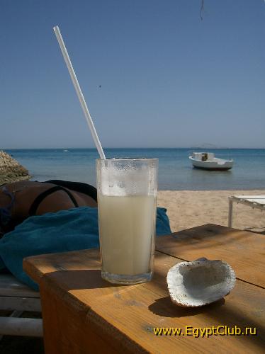 ������� ���������