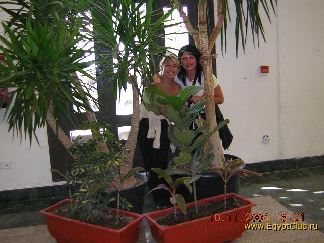  � �� �������...