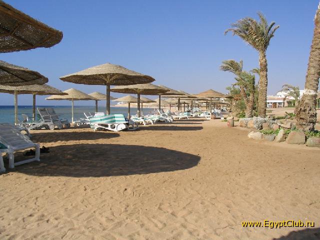 ����.����.