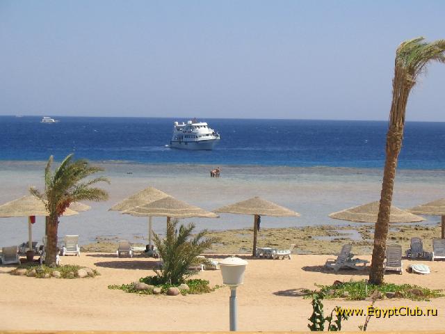 ������� �����.��� �� ������.