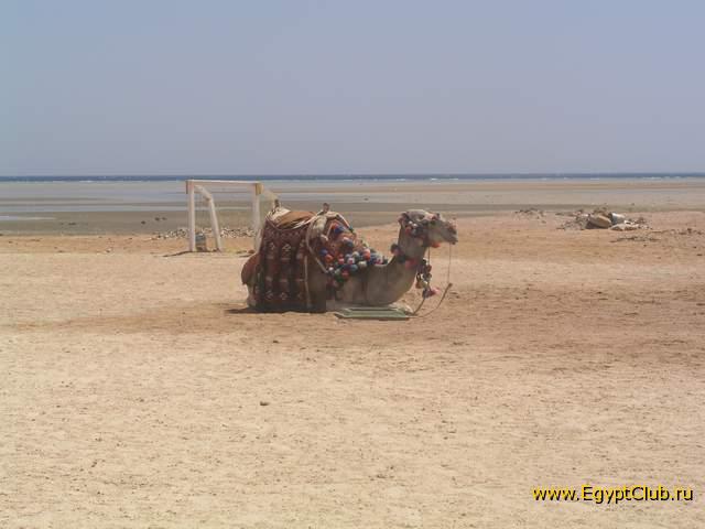 �������-�������