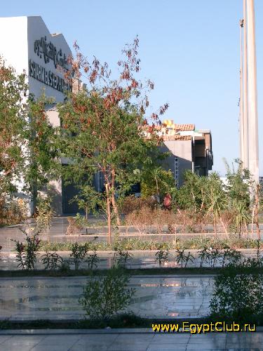 ������ ��������� � ����-���-����-�