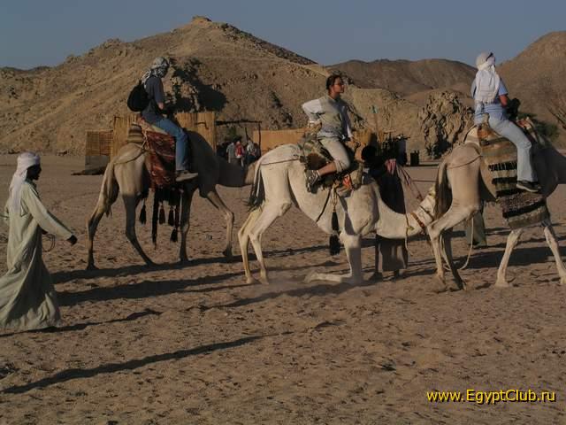 �� ���������:)