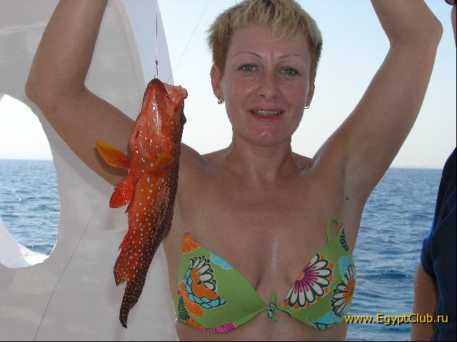 ������� �������!