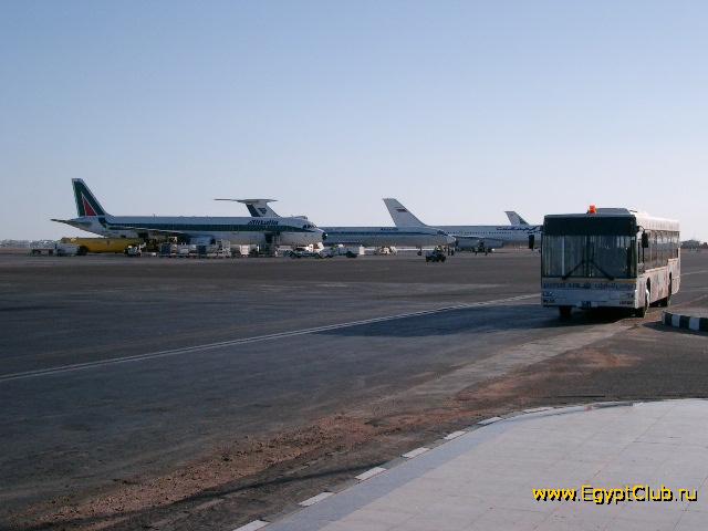 �������� ����-���-�����