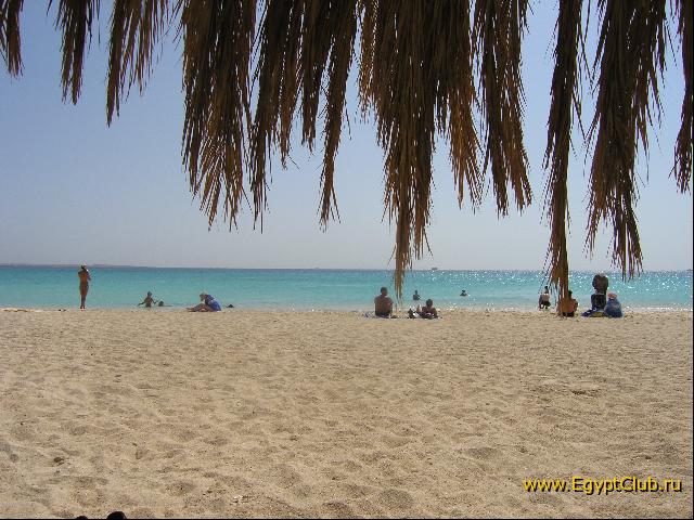 ������� ������!