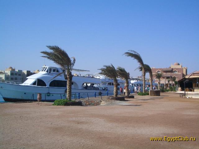 ��� ���� �������