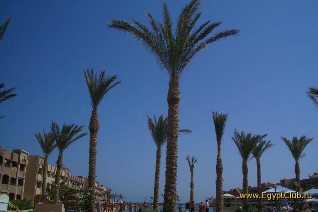 ��� ���� �������