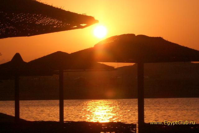 ��� ���� �������