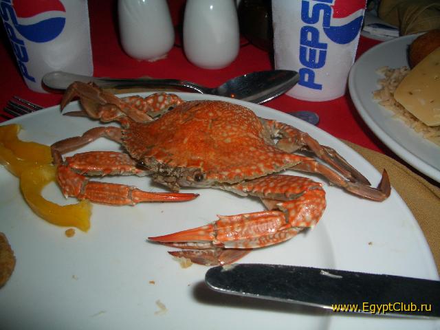 ��� ���� �������