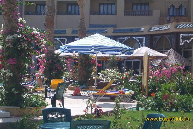 ��� ���� �������