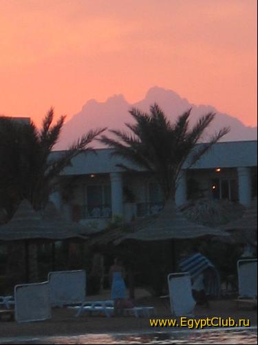 �������� ����