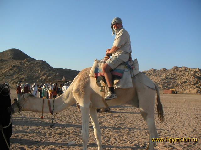 ��� �� ������?