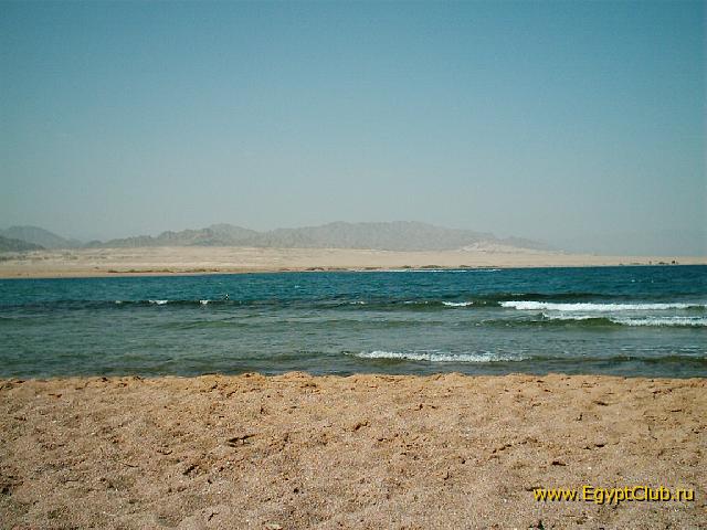 ����� ����