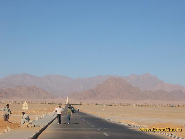 ���� �� ������ � �����.