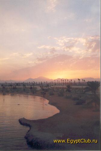 ����� �� ������� ������