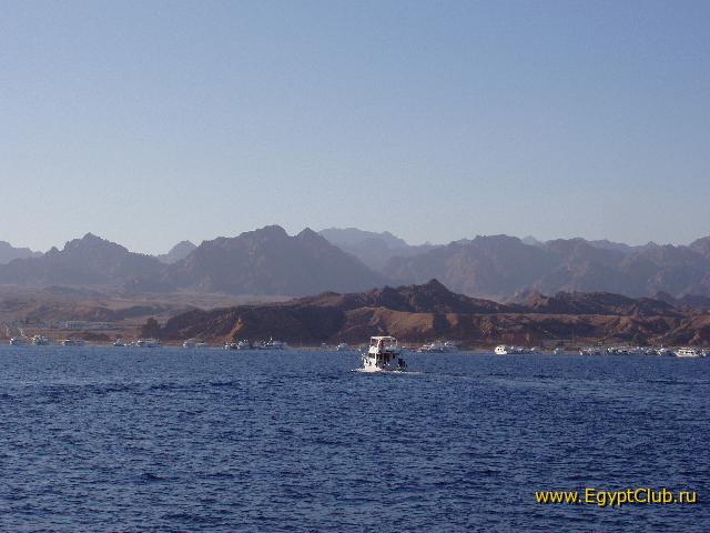 ����������� � ���� (���)