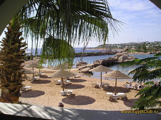 ���� #01 � �������� ����� � DOMINA CORAL BAY